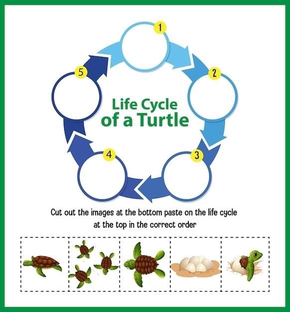 how to circle something in pdf