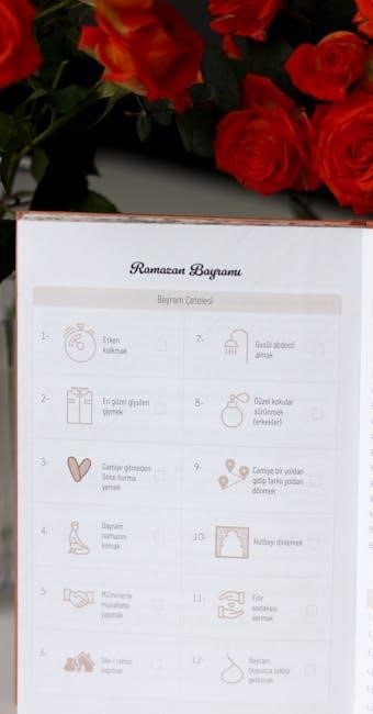 tactacam solo instructions tactacam solo instructions